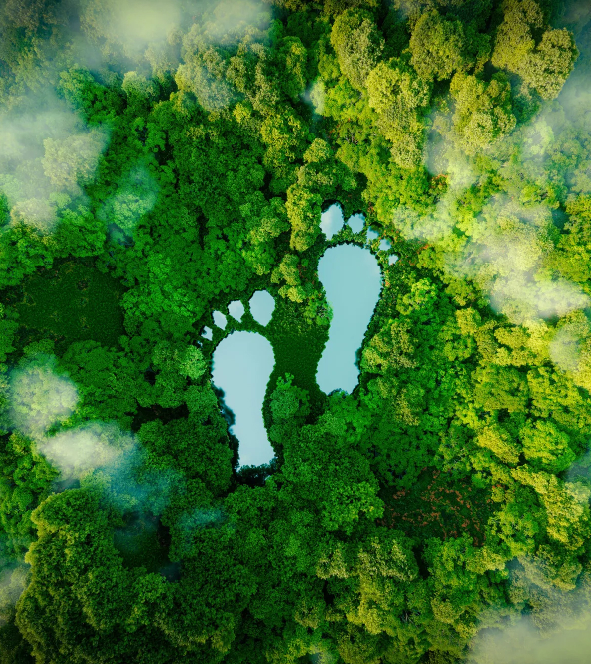 Sürdürülebilirlik